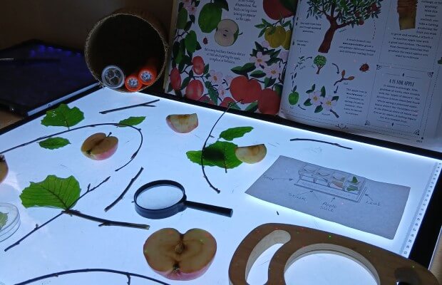 Lightbox with items